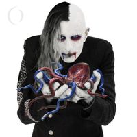 A Perfect Circle — Disillusioned