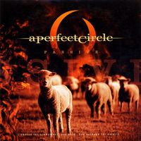 A Perfect Circle — Passive