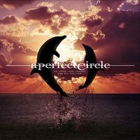 A Perfect Circle — So Long, and Thanks for All the Fish