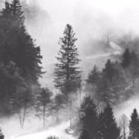 Alivvve — dawn