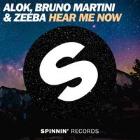 Alok/Bruno Martini/Zeeba — Hear Me Now