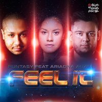 ALVIN/IINT — Feel It