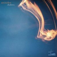 Aminolen — Old Ship