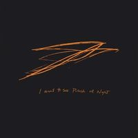 Andrew Bird — Pulaski at Night
