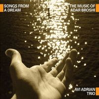 Avi Adrian Trio — If You Were Here