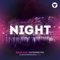Bass Ace — In The Night