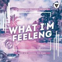 Bass Ace — What I'm Feeling (Original Mix)