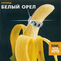 Белый орел — Дождь над Касабланкой