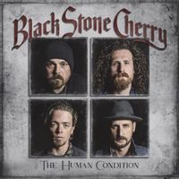 Black Stone Cherry — Again