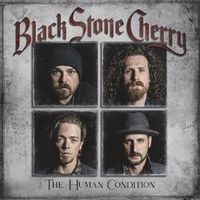 Black Stone Cherry — Don't Bring Me Down