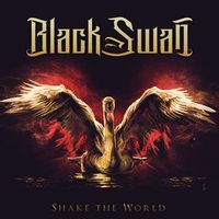 Black Swan — Big Disaster