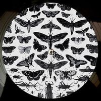 Bodhi — No More (Charles Murdoch Remix)