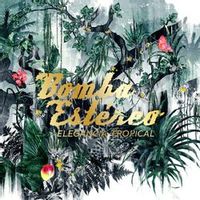 Bomba Estereo — Caribbean Power