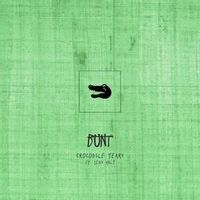 Bunt. Feat. Jens Hult — Crocodile Tears