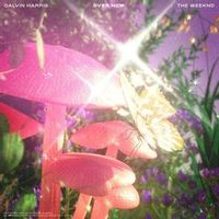 CALVIN HARRIS, THE WEEKND — OVER NOW
