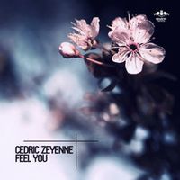 Cedric Zeyenne — Feel You