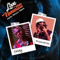 CKay — Love Nwantiti (Dj Dark & Mentol Extended Remix)