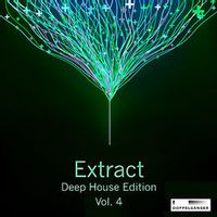 COLOUR VISION — Sur Chic (Fishing Vest Remix)