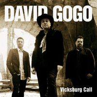 David Gogo — Cuts Me To The Bone