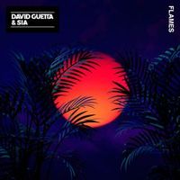 DAVID GUETTA/SIA — FLAMES