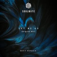 Davit Barqaia — Let Me Go