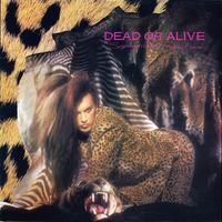 Dead Or Alive — What I Want