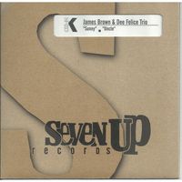 Dee Felice Trio, James Brown — Sunny