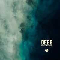 DEEB — Swiss