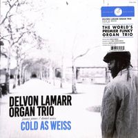 Delvon Lamarr Organ Trio — Big TT's Blues
