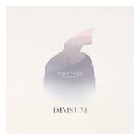DIM SUM — Right Track (feat. Nina Lili J)