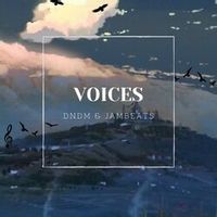 DNDM feat. JamBeats — Voices