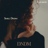 DNDM — Small Dream