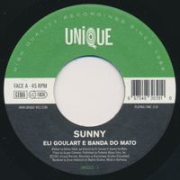 Eli Goulart E Banda Do Mato — Sunny