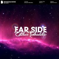 FAR SIDE — Estelar Funkadelic (Original Mix)