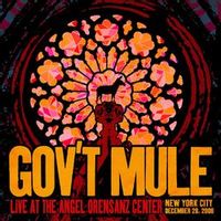 Gov't Mule — endless parade