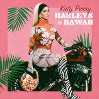 Katy Perry — Harleys In Hawaii (Magnit edition)