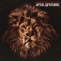 John Butler Trio — Revolution