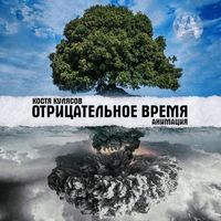 Костя Кулясов, АнимациЯ — Ромашки