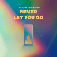 Los Tiburones Feat. Fisun — Never Let You Go