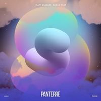 Matt Sassari — Shake That