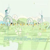 Medeski Martin & Wood — Shine It