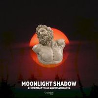 Sterbinszky Feat. David Schwartz — Moonlight Shadow (Magnit edition)