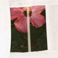 MorMor — Pass The Hours