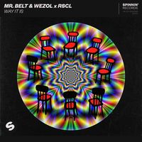 MR. BELT & WEZOL/RSCL — Way It Is