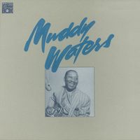 Muddy Waters — Black Night