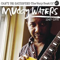 Muddy Waters — Got My Mojo Working