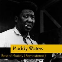 Muddy Waters — (I'm Your Hoochie) Coochie Man