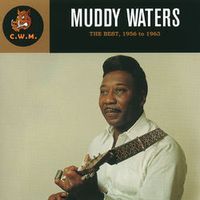 Muddy Waters — My Love Strikes Like Lightning