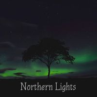 Narcotic Chill — Northern Lights