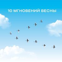 Natalia Butman, Oleg Butman, Сборный Симфонический Оркестр Санкт-Петербурга — OST - 17 Мгновений Весны
